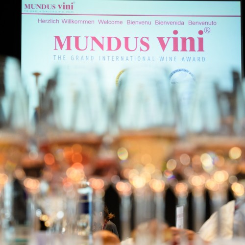 REBO 2015 – новинка, вино завоевавшее мировое признание – Best of Show Russia на Mundus Vini 2020